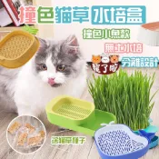貓草水培盒 【買就送5包種子】 貓草Diy 水培貓草盒 新鮮貓草 貓咪小麥草 水培器 種貓草盆 貓草 貓草種植 貓薄荷