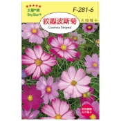【天橙種子】紋瓣波斯菊種子 F-281 花卉類種子 全年可播種 天星牌 穗耕種苗 家庭園藝 彩色原包裝