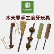 CATWANT 貓咪旺農場 木天蓼手工磨牙玩具 貓薄荷冰棒 蟲癭粿冰棒 貓玩具 貓零食『WANG』