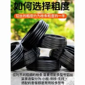 臺灣出貨 可開統編 盆景造型專用鋁絲鋁線蟠扎羅漢松定型套裝園藝花卉植物黑鋁條絲線