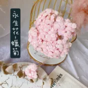 進口義大利不凋蠟菊 (淡粉）永生蠟菊 乾燥花束 擴香石 頭飾 素材 攝影道具 新娘捧花 法國白梅 手作卡片 水悠花