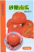 【野菜部屋~】K49 砂糖南瓜種子1 粒 ,栗子南瓜 ,甜度高~