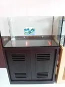[ 台中水族] 現代 (4尺*2*2尺) 12mm開放缸+3F壓克力管+架 特價  底部過濾