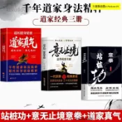 正版全新 3冊 意拳站樁功 意無止境意拳精要全解 道家真氣道醫健身精要
