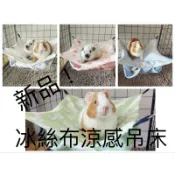 ‘‘｛甜蜜鼯家｝’’ 新款現貨 夏季專用 蜜袋鼯 松鼠 鸚鵡 黃金鼠 雪貂 狐蒙 懸掛式  雙層冰絲布吊床