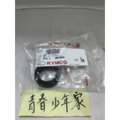 《少年家》KYMCO 原廠 奔馳 奔騰 GP G5 前叉油封