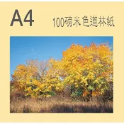 100磅 道林紙 A4-500張
