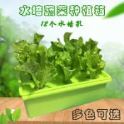 三木優選 種菜盆 無土栽培蔬菜設備家庭陽臺水培種菜機室內自動水耕種植箱塑料花盆