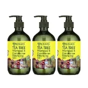 【AUS LIFE 澳思萊】茶樹調理活化洗髮精露500mlX3(甄選茶樹精油配方 從頭開始滋潤調理)