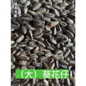【優翔鴿園】大顆粒葵花仔[1台斤]  超商(最多7台斤) 店到店(15台斤) 鴿子飼料 賽鴿飼料 鸚鵡飼料