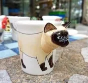 泰國 手工繪制 3D 動物 馬克杯 [暹羅貓]