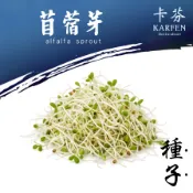 苜蓿芽種子「約1600粒」」苜蓿 苜蓿芽 苜蓿嬰 彩色苜蓿 蔬菜種子 芽菜種子 蔬果種子 卡芬在園