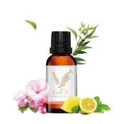 【JOURDENESS 佐登妮絲】呼暢護隨精油30ml(防禦精油)