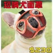 【台灣賣家→現貨秒出】扁臉短嘴狗 法鬥 巴哥 沙皮狗 嘴套 寵物防咬面罩 防偷吃 鬥牛犬法鬥 英鬥 巴戈 口罩面罩 嘴套