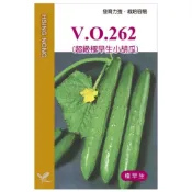 (店+)【天橙種子】262超級極早生小胡瓜種子 小黃瓜 約30粒 瓜果類 全年可種 極早生品種 興農種苗 彩色原包裝