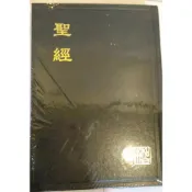 中文聖經新標點和合本 輕便本黑色硬面神版CUNP53A新舊約聖經 基督教聖經
