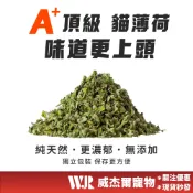 【威杰爾】A級貓薄荷 貓薄荷頂葉 貓草 貓薄荷 貓咪玩具 貓咪排毛球 天然貓草 貓咪潔牙 貓咪紓壓 貓玩具【B044】