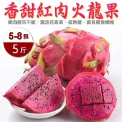 【果農直配】台灣紅肉火龍果5斤(含箱重/5-7顆)