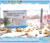 【魚店亂亂賣】ISTA外掛式隔離繁殖飼育盒/養殖箱M型(1.2L)缸外式打氣動力台灣伊士達IF-647
