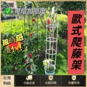 🔥桃園百貨🔥歐式庭院爬藤架 陽臺綠植支架 可拚接多層飄香藤薔薇花架子室內家用花架子 H38C