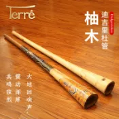 【柚木入門演奏級】迪吉里杜管 Didgeridoo 澳洲吹管 聲音療愈 樂器 柚木 管