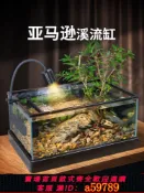 青禾優選 【全網低價 可打統編】桌面超白玻璃南美風溪流造景客廳小型魚龜共養生態新款魚缸烏龜缸