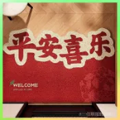 ❗️臺灣出貨 入戶門絲圈地墊進門加厚玄關腳墊新中式大門口齣入平安墊子 限時特賣❗️X310-2A