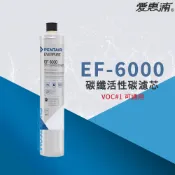 【思維康SWEETCOM】美國原廠愛惠浦 EVERPURE PURVIVE EF6000 碳纖活性碳濾芯 替代VOC