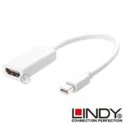 LINDY 林帝 mini DP公 轉 HDMI母 轉換器 (41014)