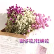 (店+)千日紅 圓仔花 乾燥花 乾花 永生花 花束 家居裝飾 diy花材 玻璃罩 拍照擺飾 捧花