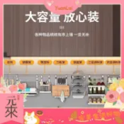 YLai--廚房置物架壁掛刀架304不鏽鋼免打孔調料筷子鍋蓋碗碟瀝水收納架
