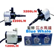 【樂魚寶】台灣Blue Whale 藍鯨 內置沉水馬達 沉馬 (無濾杯) 1200LH 2200LH 3200LH