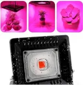 ◤AMO LED◢ 50W 防水植物燈  全光波植物燈 多肉 開花 結果 育苗 水耕 魚菜共生