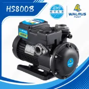🌸鋐宇泵浦🌸大井 HS800B HS800 1HP  抗菌 靜音抽水機 不生鏽抽水馬達 白鐵葉輪 保固兩年