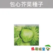 【花園城堡】包心芥菜 長年菜 刈菜 Head Mustard 種子 葉菜類種子