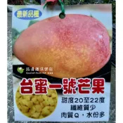 台蜜一號 芒果 兩棵免運 請先洽詢 嫁接苗 芒果苗 樹苗 盆栽 蜜芒果 雪芒果 蜜煌 愛文 蜜雪 夏雪 四季蜜 台中ㄧ號