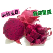 【誠心果園】10/5出貨產銷履歷火龍果 模範農民獎 水果 禮 盒  水果 行 紅肉火龍 果 紅 龍 果 產銷履歷