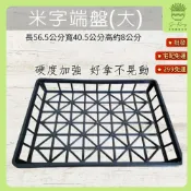 【欣榮園藝490全省免運】米字端盤 (大) 超硬質不晃動 整理籃 收納盤 植字端盤 可搭配大水盤