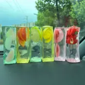 Nice Cube Fruit Ice Squishy,透明長條 TPR 擠壓玩具,帶模擬水果片、緩解壓力的 Fidge