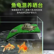 小橙子優品✨熱品巴西烏龜曬臺草皮草坪爬臺爬蟲爬梯爬坡曬背臺大號飼養盒