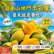 保證｜屏東 三地門 土芒果 🥭在地老樹香甜檨仔 5台斤/10台斤 產地直送 鮮採配送 皮薄核小肉質細膩 濃郁香氣 現貨