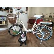 可愛櫻花 牛奶車 BAOLI Milk 20吋  SHIMANO 6段 變速 高雄 淑女車  買菜車  通行車 學生車