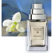 香水分裝 試香 The different company TDC 別樣公司 Osmanthus 桂花 桂月飄香