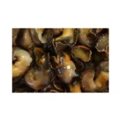 (店+)【萬象極品】鳳螺肉/淨重200gx1包 81471361