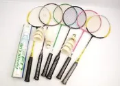 ღ小善閣ღ☞ LEDEX / Seiko 羽球拍 共 6入 附球筒