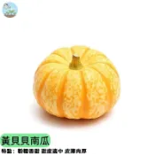 【栗香鬆甜】黃貝貝南瓜種子 日本小南瓜品種 牛奶南瓜 貝貝南瓜 一試成主顧 口感像栗子 陽台盆栽OK 自家菜園