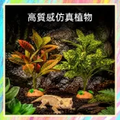 ★爬蟲新樂園★[台灣現貨]高質感仿真植物 造景首選 底座穩固耐用 塑料材質 入缸成景 爬蟲 樹棲爬蟲 守宮 蜥蜴 變色龍