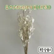 『花藝夢』義大利乾燥銀扇葉 原裝販售 不凋銀幣葉 銀扇草 金錢花 銀貝葉 乾燥花