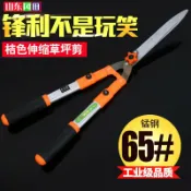 港灣小站 【65錳鋼省力】草坪剪 籬笆剪 園藝剪刀 伸縮柄 直頭設計 修剪樹枝 綠籬修剪 花園工具 長柄省力 園藝必備