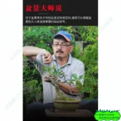 HQ盆景造型工具造型專用鋁絲鋁線蟠扎園藝鐵絲花卉羅漢松拉枝固定型器工具25